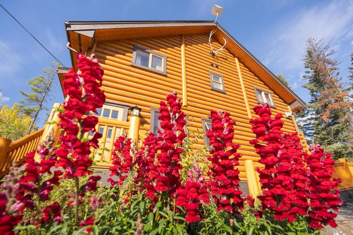 Castle Mountain Chalets Dış mekan fotoğraf